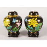 A PAIR OF JAPANESE CLOISONNE ENAMEL GINGER JARS AND COVERS. 5.5ins high.