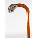 A WALKING STICK WITH SILVER BIRDS HEAD HANDLE.