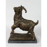 AFTER JEAN BAYRE (1796-1875) FRENCH A LARGE AND FINE BRONZE OF A GOAT. Signed. 14ins high, 14ins