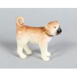 A MINIATURE ENGLISH PORCELAIN BOXER DOG, CIRCA. 1830. 2ins long, 1.75ins high.