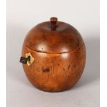 A GOOD APPLE TEA CADDY. 4.5ins high.