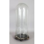 A VICTORIAN GLASS DOME ON STAND. 21ins high.