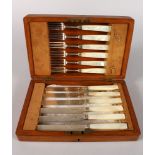 A SET OF SIX GEORGIAN DESSERT KNIVES AND FORKS with mother-of-pearl handles, in an oak canteen.