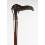 A WALKING STICK WITH CARVED DUCKS HEAD HANDLE.