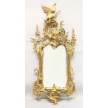 A CHINESE CHIPPENDALE REVIVAL GILT FRAME PIER MIRROR, with ho-ho bird cresting. 4ft 7ins high x