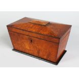 A 19TH CENTURY MULBERRY TWO-DIVISION TEA CADDY, with fitted interior, on a plain base. 8.5ins wide.