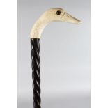 A WALKING STICK with carved ivory DUCKS HEAD HANDLE.