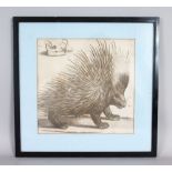 A FRAMED ENGRAVING OF A PORCUPINE.