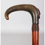 A HORN HANDLED MALACCA WALKING STICK, with a wire collar, the horn possibly rhinoceros horn, 33.