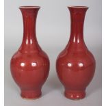 A PAIR OF 19TH CENTURY CHINESE OX BLOOD PORCELAIN VASES, each base applied with a crackleglaze, 7.