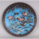 A JAPANESE MEIJI PERIOD SKY-BLUE GROUND CLOISONNE DISH, decorated with birds and foliage, 11.9in