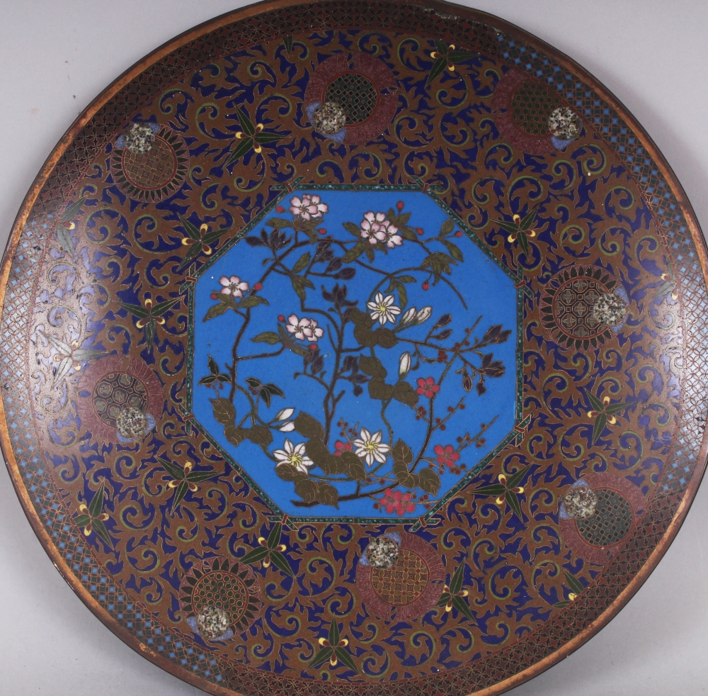 A GOOD QUALITY JAPANESE MEIJI PERIOD CLOISONNE DISH, decorated to its centre with a sky-blue - Image 2 of 3