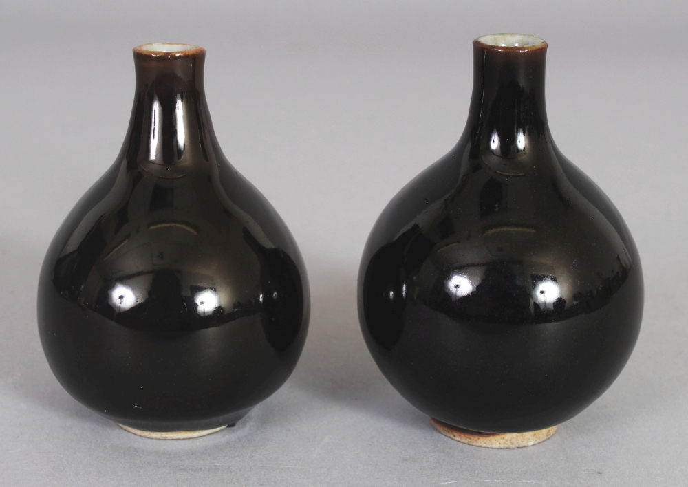 A GOOD PAIR OF 18TH CENTURY CHINESE MONOCHROME MINIATURE PORCELAIN VASES, each applied with a dark