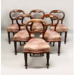 A GOOD SET OF SIX VICTORIAN MAHOGANY BALLOON BACK DINING CHAIRS, with over stuffed seats on turned