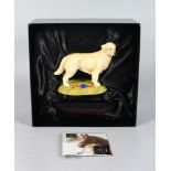 A ROYAL DOULTON PORCELAIN GOLDEN RETRIEVER, from the gun dog collection 6.5in long, in original box