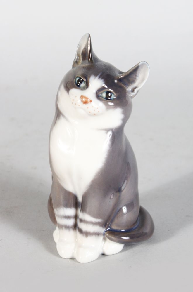 A ROYAL COPENHAGEN SEATED CAT No: 1803