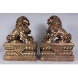 A LARGE PAIR OF 20TH CENTURY CHINESE GILT BRONZE MODELS OF TEMPLE LIONS, each seated on a