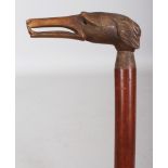 A HORN HANDLED MALACCA WALKING STICK, the handle carved in the form of a dog's head, the horn