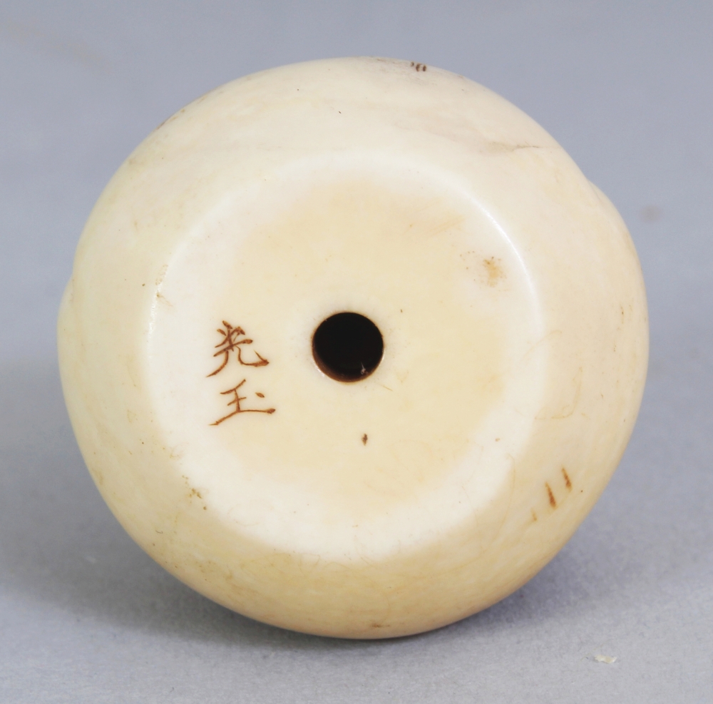 A SIGNED JAPANESE MEIJI PERIOD IVORY NETSUKE OF A DARUMA DOLL, with frowning expression, his mouth - Image 6 of 7