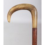 ANOTHER HORN HANDLED WOOD WALKING STICK, the hooked handle formed from two sections, the horn