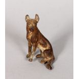 A SMALL COLD CAST BRONZE ALSATIAN. 2.5ins high.