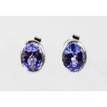 A PAIR OF 9CT WHITE GOLD AND TANZANITE EARRINGS.