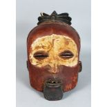 AN ASIAN POLYCHROME CARVED WOODEN HELMET MASK, finely carved and painted 12 inches in height.