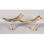 A PAIR OF SILVER PLATED HORNS.