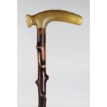 A BRIER WALKING STICK WITH RHINO HANDLE.