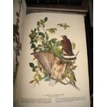 AUDUBON (John James) The Birds of America, Macmillan, 1937, Limited Edition No. 921 of 2500, Slip