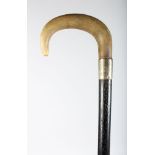 A POSSIBLY RHINO HORN HANDLE WALKING STICK with silver band.