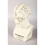 A PHRENOLOGY HEAD by L. N. FOWLER. 11ins high.