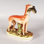 A STAFFORDSHIRE STANDING GREYHOUND, a rabbit in its mouth. 11ins high.