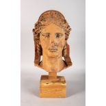 A CLASSICAL TERRACOTTA FEMALE HEAD on a wooden stand. 15ins high.