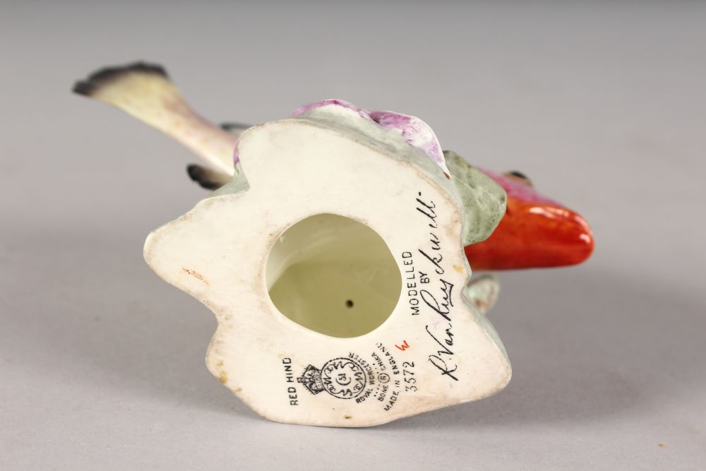 A ROYAL WORCESTER FISH "RED HIND", No. 3572, modelled by R. Van Ruyckevelt. 5ins high. - Image 2 of 2