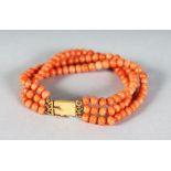 AN EDWARDIAN SINGLE ROW CORAL BRACELET with gold clasp.