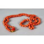 A GOOD EDWARDIAN CORAL NECKLACE with 18ct gold clasp.