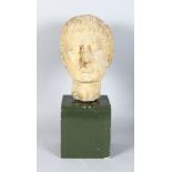 AN EARLY CARVED MARBLE BUST OF A MAN (Possibly Roman), coloured yellow. 11ins high.