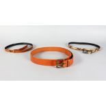 A brown leather belt, snakeskin belt and Miu Miu belt (3).