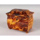 A VERY GOOD REGENCY TORTOISESHELL TWO DIVISION TEA CADDY, on satinwood bun feet. 7ins long x 6.