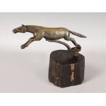 A RARE CARVED POSSIBLY RHINO HORN CAR MASCOT, "A LEAPING HORSE", on a wooden stand.