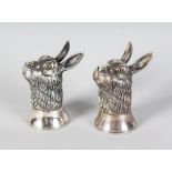 A PAIR OF NOVELTY SILVER RABBIT SALT AND PEPPERS.