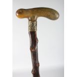 A POSSIBLY RHINO HORN HANDLE WALKING STICK with brass band.
