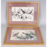 TWO 19TH CENTURY FRAMED CHINESE PAINTINGS ON RICE PAPER, in matching frames, each painted with a