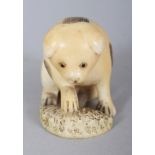 A JAPANESE MEIJI PERIOD IVORY NETSUKE OF PUPPY PLAYING WITH A SHELL, his feet forming the himotoshi,