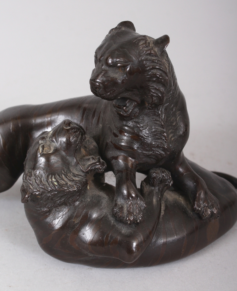 A GOOD QUALITY SIGNED JAPANESE MEIJI PERIOD BRONZE MODEL OF TWO FIGHTING TIGERS, together with a - Image 5 of 8