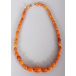 AN AMBER BUTTERSCOTCH NECKLACE, weighing approx. 23.7gm, the gold clasp marked ‘375’, the necklace