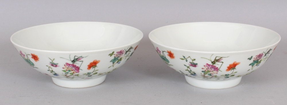 A PAIR OF CHINESE FAMILLE ROSE PORCELAIN BOWLS, each decorated with insects and floral sprays,