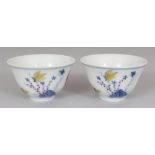 A PAIR OF MING STYLE DOUCAI PORCELAIN CUPS, decorated with butterflies, ferns and rockwork, each