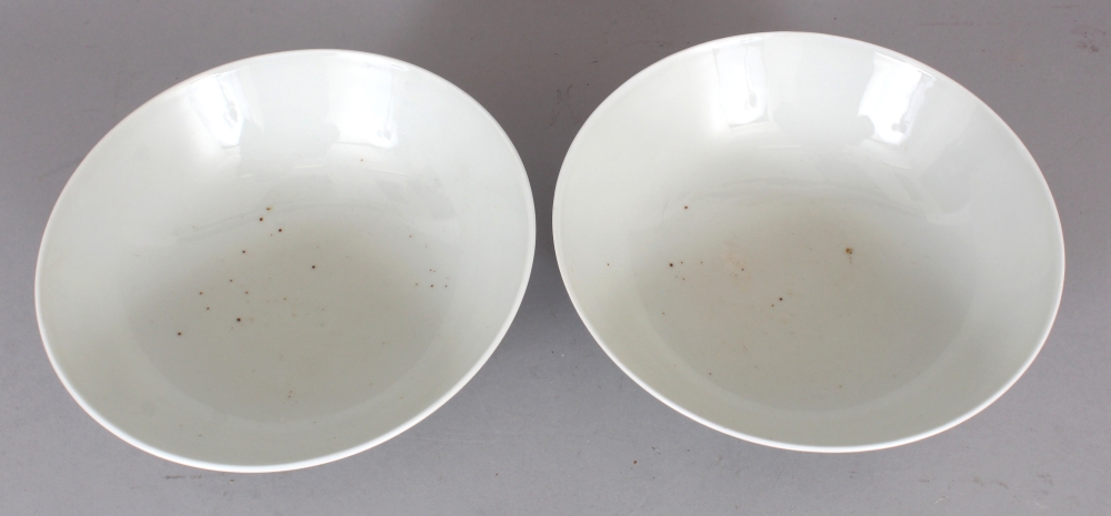 A PAIR OF CHINESE FAMILLE ROSE PORCELAIN BOWLS, each decorated with insects and floral sprays, - Image 4 of 8